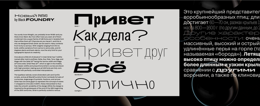 Beispiel einer Grtsk Tera Bks lnt Bold-Schriftart